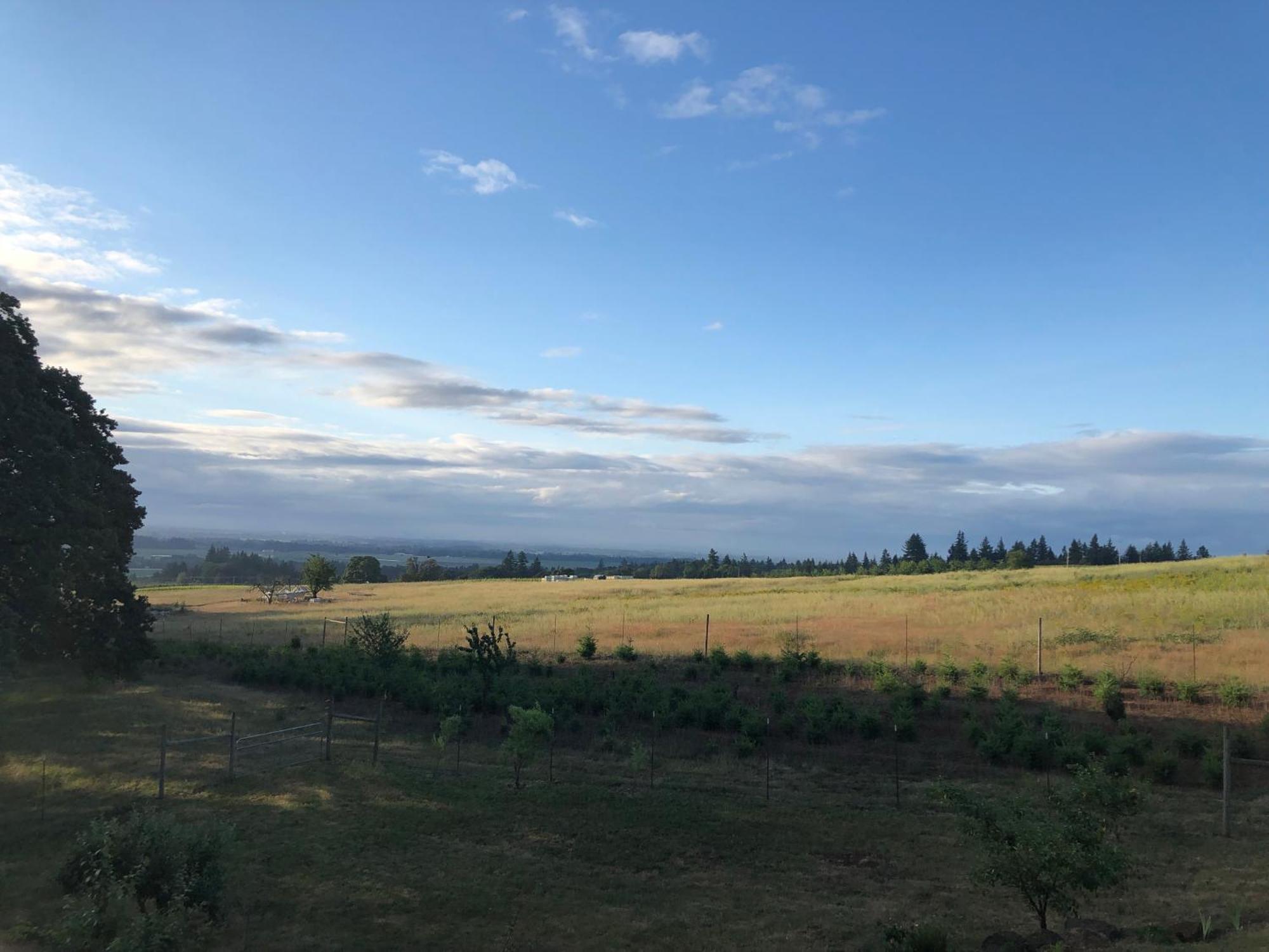 2 Bedroom Suite: Views, Private Entrance, Evchgr Amity Exterior foto
